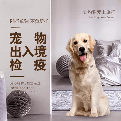 三明市宠物托运到哥伦比亚猫狗宠物入境规定和