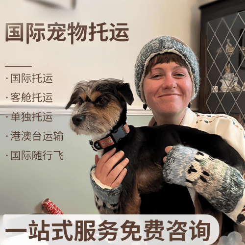 三明市国际宠物托运到阿根廷宠物入境规定和要