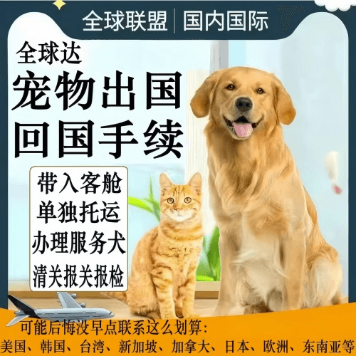 三明市宠物托运到柬埔寨宠物入境规定和要求