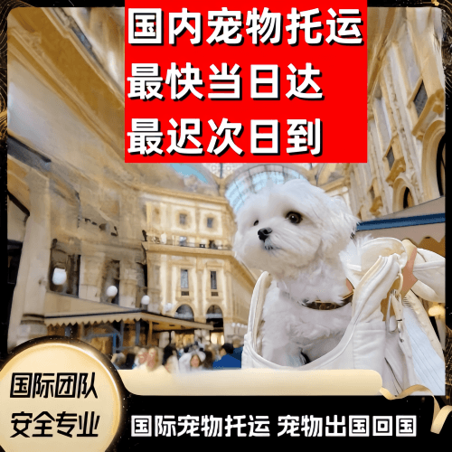 三明市到澳大利亚（澳洲）宠物入境规定和要求