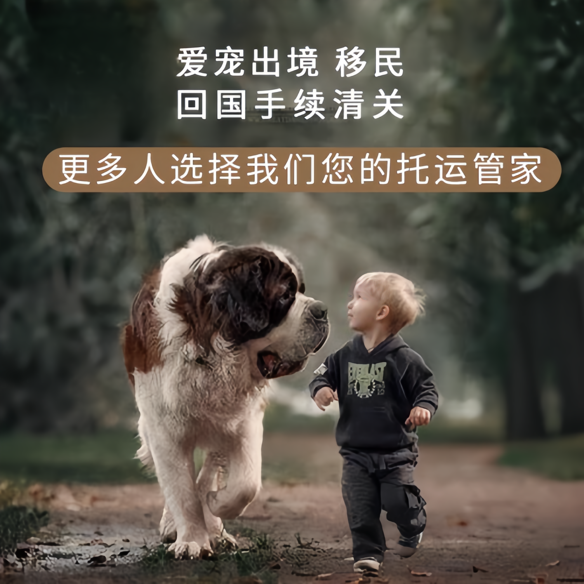 满财三明市宠物全球达宠物托运在遵守入境目的地政策的条件