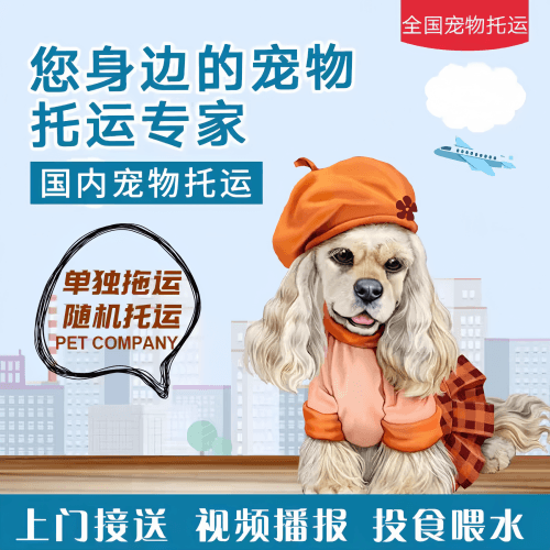 满财三明市宠物全球达宠物托运作为专业的宠物运输代理机构